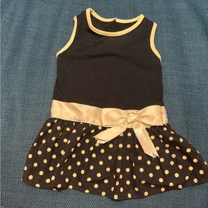 Adorable polka dot doggie dress 🐶
